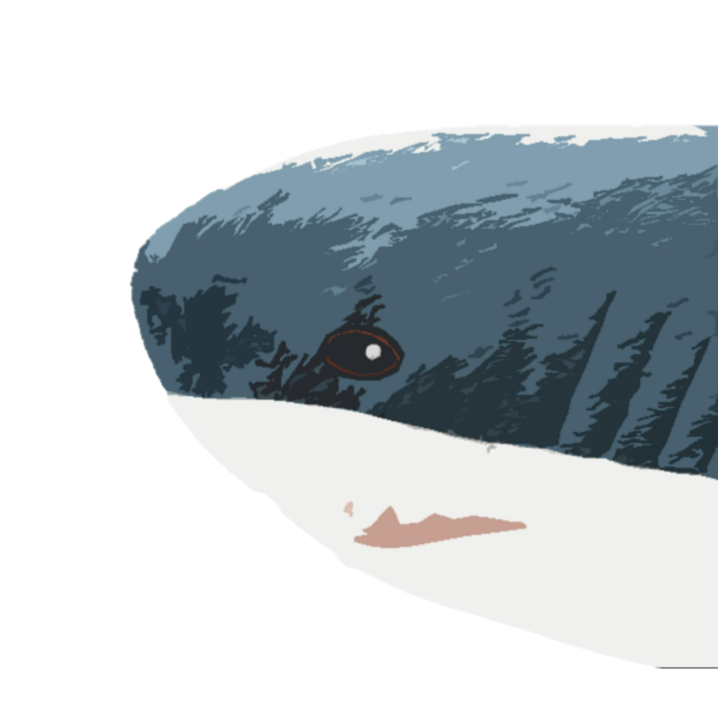 SEASQUID.XYZ